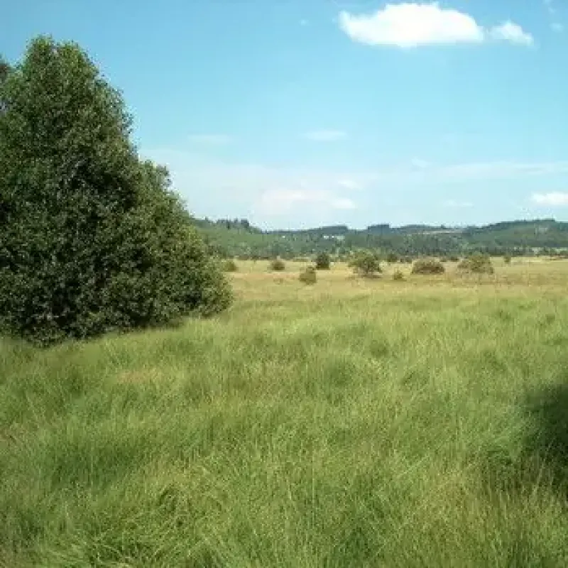 Horticulture sans tourbe, c'est possible ! Visuel